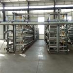 China Poultry Farm Automatic Egg Collection System For A Cage H Cage for sale