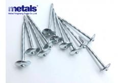China BWG9 Hot Dipped Galvanized Roofing Nails Twisted Shank With Ruber Washer 1/2 supplier