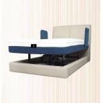 Electric Lift Bed Intelligent Bed Multifunctional Home Care Bed Automatic Removable Assisted Standing Backrest E200H for sale