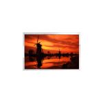 LS030Y3DX01 3.0 Inch 480*800 Resolution Lcd Screen Display for sale
