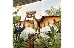 China Jurassic Park Simulated Animatronic Pterosauria Dinosaur Model for Amusement Park supplier