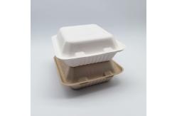 China 8 Inch Biodegradable Bagasse Tableware Sugarcane Laminated Food Containers supplier
