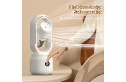 China HOMEFISH 300ml Water Tank 2000mah Rechargeable Room Humidifier Fan Without Vane supplier