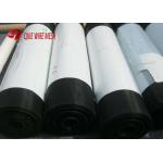 Stainless Steel Security Window Fly Screen Mesh 11*0.8mm SGS Certification