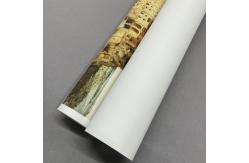 China Water Based Inkjet Matte Polyester Canvas Rolls For HP Designjet Printers supplier