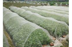 China 50X35 Plastic Wire Mesh 100g/M2  Anti Insect Net For Greenhouse supplier