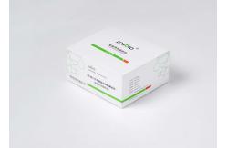 China CE 15 Minutes NT-proBNP Test Whole Blood NT-proBNP Detection Reagent supplier