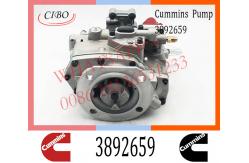 China Diesel Injection For Cummins NTA855 PT Fuel Pump 3892659 3279718 4915472 4951420 supplier