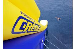 China Huge Inflatable Water Slide , Inflatable Cruiser Slide For Yacht games supplier