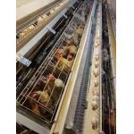 144 Birds Full Automatic Poultry Battery Cage Chicken Egg Layer Cage for sale