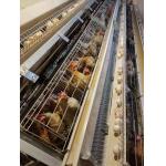54-384 Birds/Set Layer Bird Cage , SONCAP Battery System Of Poultry Farming for sale