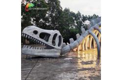 China ISO Animatronic Dinosaur Skeleton Passageway supplier