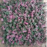 Effortless Installation Artificial Wall Grass Anti Aging Strong Corrosion Resistance Long Lifespan for sale