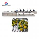 Fruits cleaning and drying production line Fruit Vegetable FOOD processing production Machine for sale