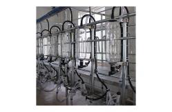 China Parallel Lines 20T/H Herringbone Milking Parlor Automatic Milk Machine supplier