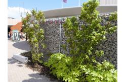 China Box 1x1x2 River Bank Mesh Protection 200x100x50 Gabion Fence System supplier
