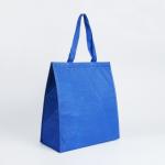 Fashion portable recyclable pp non woven cooler bag  travelling insulated food delivery  tote reusable  thermal lunch bag for sale