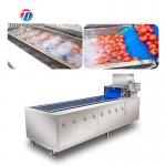 China Year 2025 Fruit And Vegetable Processing Machine The Ultimate Solution for Your Production factory