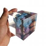 Transparent resin cube brick paperweight with Coral inside
