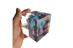 China Transparent resin cube brick paperweight with Coral inside supplier