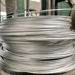 High Elasticity Stainless Steel Spring Wire For Anti Corona Virus Sprayer Spring 302 Wire for sale