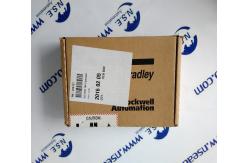 China Allen-Bradley 1734-OA2 POINT I/O 2 Point Digital Output Module 1734OA2 supplier