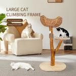 Cat Tree Unique Design Natural Wood Cat Tower Easy Climbing Small  cat
