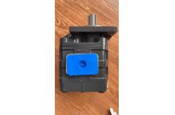 China Blue Piston Seal Ring with Painting Treatment 11C0040 Gear Pump supplier