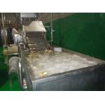 SUS304 10TPH Fruit Vegetable Washing Machine Stepless Shift for sale