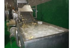 China SUS304 10TPH Fruit Vegetable Washing Machine Stepless Shift supplier
