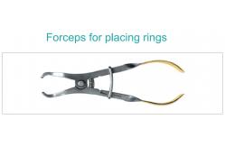 China Dental Sectional Matrix System A2 Bands Clamp Ring Resin Holder Clip Ring supplier