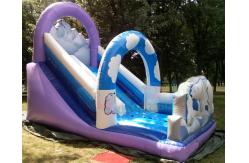 China Polar Bear Inflatable Bouncy Castle With Slide Fully Digital Printing supplier