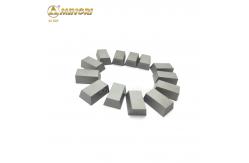 China YG6 Yg8 Hip Sintered Tungsten Carbide Brazing Tips SS10 Carbide Tips supplier