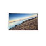 MV185WHM-N10 18.5 inch 1366*768 16.7M 99%sRGB LCD Panel for Industrial for sale