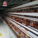Poultry Chicken Farm Battery Chicken Cage Equipment 96 Birds / Set for sale