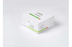 China Interleukin 6 CRP Rapid Test Kit Acute Infection Diagnosing supplier