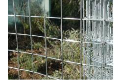 China Low Carbon Steel Zinc Coating Galvanised Welded Wire Mesh Roll For Benefit supplier