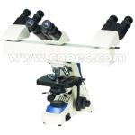 Lab Research Dual Mult Viewing Microscope Halogen Lamp 3 Position A17.1102-A for sale