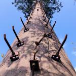 Artificial Trees Telecommunication Q345 Steel Monopoles for sale