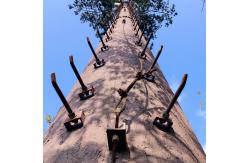 China Artificial Trees Telecommunication Q345 Steel Monopoles supplier