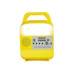 Eco Friendly 6000mah 5W*3PCS Solar Emergency Lights For Home Use