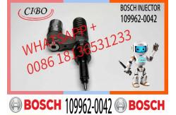 China Neutral GE13 Fuel Injector 109962-0061 109962-0042 109962-0062 109962-0041 supplier