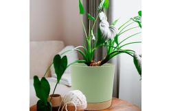 China Indoor Plastic Green Plant Pots With Drainage Holes And Removable Base supplier