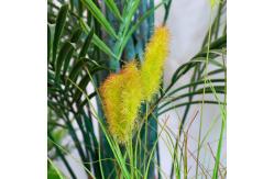 China Anti UV Plastic Artificial Landscape Trees With Traveller'S And Areca Palm supplier