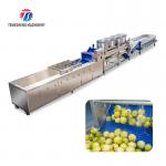 2025 Silver Fruit And Vegetable Processing Line for Processing for sale