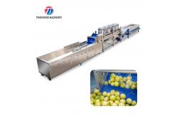 China 2025 Silver Fruit And Vegetable Processing Line for Processing supplier