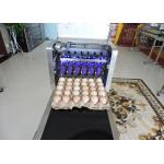 Popular eggs number inkjet printer with high resolution For Egg Supplier for sale