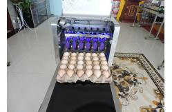 China Popular eggs number inkjet printer with high resolution For Egg Supplier supplier