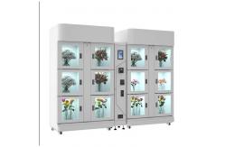 China Flower Vending Locker Vending Machine With Large Capacity supplier
