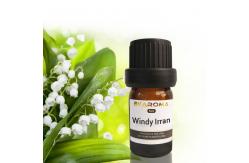 China Ilan Aroma Diffuser Essential Oil Sustainable Car Air Freshener Fragrance 500ml supplier